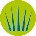 Greenfields