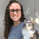 Kitty Cat
