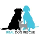 Real Dog logotipas