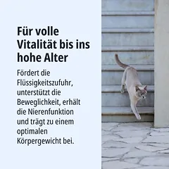 Virbac Veterinary HPM Cat Kidney & Joint KJ2, drėgnas maistas katėms — 4 nuotrauka