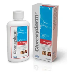 Clorexyderm Shampoo Forte 2% 200 ml – antiseptinis, valantis šampūnas naudojamas esant paviršinei ir giliai piodermai.