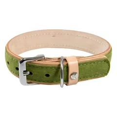 Das Lederband Hundehalsband Norden Lime/Natural