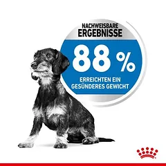 Royal Canin Mini Light Weight Care sausas maistas šunims, 5 - 9,9 kg — 4 nuotrauka