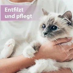 Felisept Fellpflegespray für Katzen nuotrauka