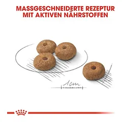 Royal Canin Mini Sterilised sausas maistas šunims, 3 - 4,9 kg — 3 nuotrauka