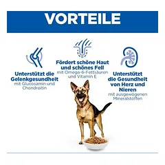 Hill's Science Plan Mature Adult 6+ Large su vištiena, sausas maistas šunims — 5 nuotrauka