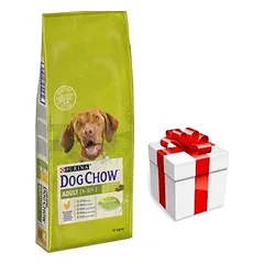 PURINA Dog Chow Adult Chicken 14kg + STAIGMENA ŠUNIUI
