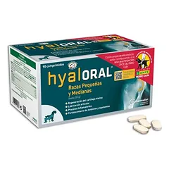 Hyaloral kleine & mittelgroße Rassen