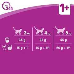 Whiskas 1+ Sterile su vištiena, sausas maistas katėms — 5 nuotrauka