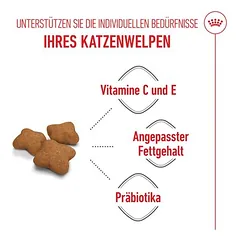 Royal Canin Kitten Sterilised sausas maistas kačiukams, 3 - 4,9 kg — 4 nuotrauka