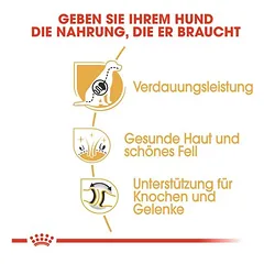 Royal Canin German Shepherd Adult sausas maistas šunims — 5 nuotrauka