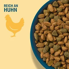 Perfect Fit Senior 11+ reich an Huhn photo