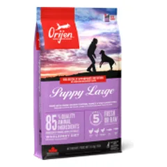Orijen Puppy Large sausas maistas jauniems šunims - Pet24