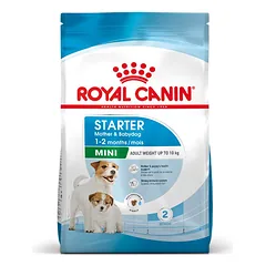 Royal Canin Mini Starter sausas maistas šunims