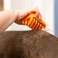 WAHL® Gummibürste Sheddy