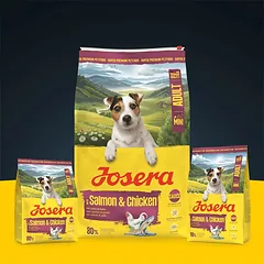 Josera Mini Salmon+Chicken sausas pašaras mažų veislių šunims su lašiša ir vištiena, 10 kg — 2 nuotrauka