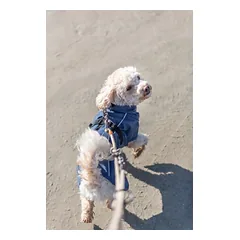 TRIXIE BE NORDIC Husum lietpaltis, XS: 30 cm, tams. mėlynas — 5 nuotrauka