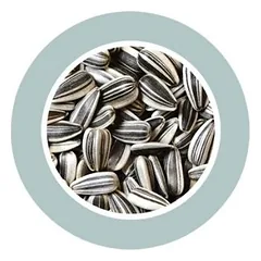 Saulėgrąžos paukščiams, graužikams, 500 g — 2 nuotrauka