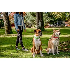 Pavadėlis Wigzi Dual Doggie Rope skirtas vedžioti du šunis L dydis — 3 nuotrauka