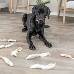 Trixie natūralios džiovintos triušių ausys su kailiu, skanėstas šunims, 500 g — 3 nuotrauka