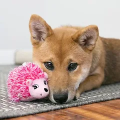 KONG Puppy pliušinis žaislas HedgeHug, Labai mažiems < 4 kg — 2 nuotrauka