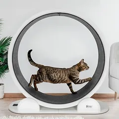 Modern Living bėgimo ratas katėms Singapore, apie Ø 1 m, pilka — 2 nuotrauka
