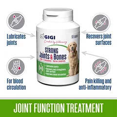 GIGI STRONG Joints & Bones papildas šunų kaulų ir sąnarių funkcijai, 30 tablečių — 2 nuotrauka