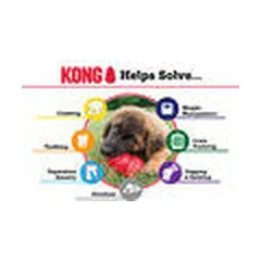 KONG žaislas šunims Senior, didelis — 4 nuotrauka