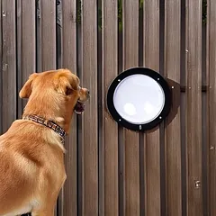 TIAKI tvoros langelis „Gossip Dog“ šunims, 2 vnt. rinkinys — 3 nuotrauka