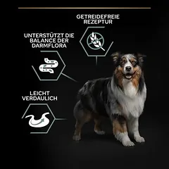 PURINA PRO PLAN Medium & Large Adult Sensitive Digestion begrūdis sausas maistas šunims — 4 nuotrauka