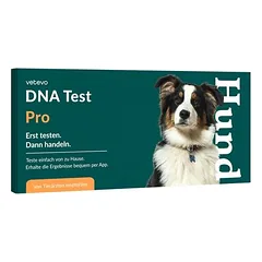 vetevo DNR testas šunims, Veislės nustatymas Pro +MDR1 +paveldimos ligos — 3 nuotrauka