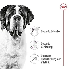 Royal Canin Giant Adult sausas maistas šunims — 4 nuotrauka