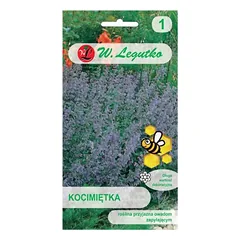 Katės mėta - mėlyna-violetinė