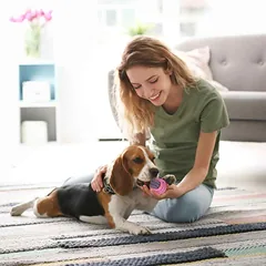Šunų žaislų rinkinys Relaxdays 10027243.0, 10 vnt — 3 nuotrauka