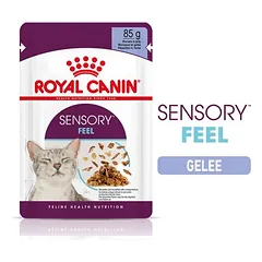 Royal Canin Sensory Feel in Gelee