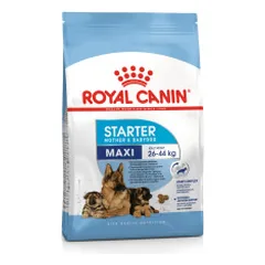 Royal Canin Maxi Starter sausas pašaras šunims