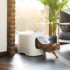 Rotho MyPet kraiko dėžė katėms BIALA, mistelė balta — 5 nuotrauka