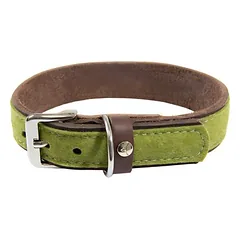 Das Lederband Hundehalsband Norden Lime/Mocca
