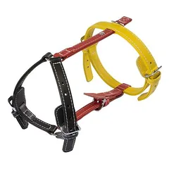 Das Lederband Geschirr Frankfurt Black/Indian-Red/Vibrant-Yellow