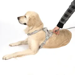 TIAKI Neoprene petnešos, pilkos, Tinkamas pavadėlis: 200 cm ilgio, 20 mm pločio — 4 nuotrauka