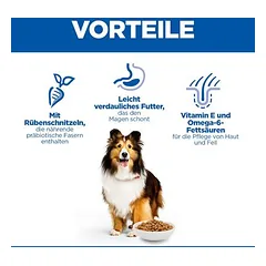 Hill's Science Plan Sensitive Stomach & Skin Adult 1+ Medium su vištiena, sausas maistas šunims — 4 nuotrauka