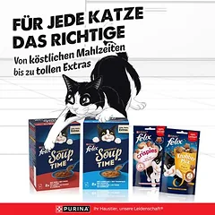 Felix Soup Time Original drėgnas maistas katėms 6 x 48 g