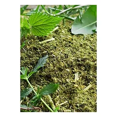 Eohippos Herbal Heaven Mash