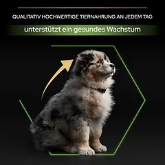 PURINA PRO PLAN Medium Puppy Healthy Start sausas maistas šuniukams, > 10 kg — 5 nuotrauka