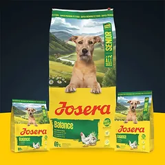 Josera Balance sausas pašaras vyresnio amžiaus šunims su paukštiena, 12,5 kg