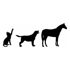 cdVet Calma Probe 20 ml — 2 nuotrauka