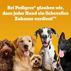Pedigree milžiniški kaulai, mišrus rinkinys, skanėstai šunims