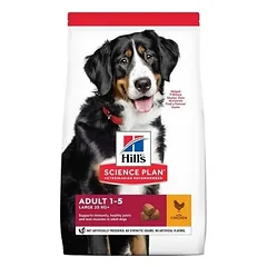 HILLS Science Plan Chicken Adult Large Breed sausas pašaras šunims