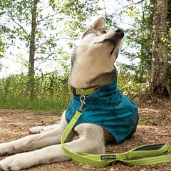 Icepeak Pet antkaklis šunims Grand X, laimo spalvos, Vidutiniams 11–25 kg — 3 nuotrauka