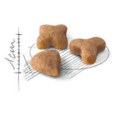 ROYAL CANIN Sensible 33 sausas pašaras katėms, 4 kg — 2 nuotrauka